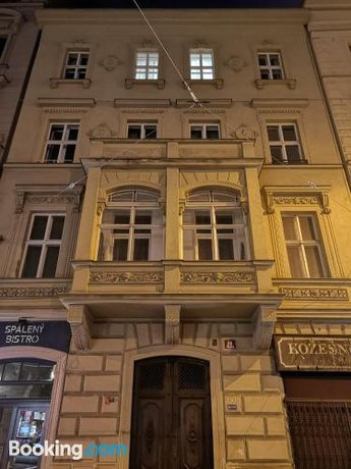 2 Rooms For 6 People 58m2 Quiet Nice Fully Furnished Air Conditioning Fireplace Prague 1 Ce