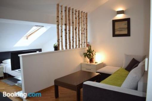 Bright apartment 1 in the heart of Prague