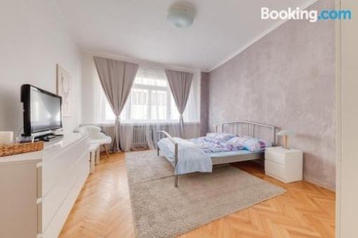 Nice apartment in the Center of Prague