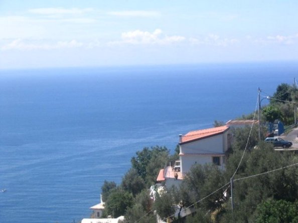 Amalfi Coast Bougainvillea