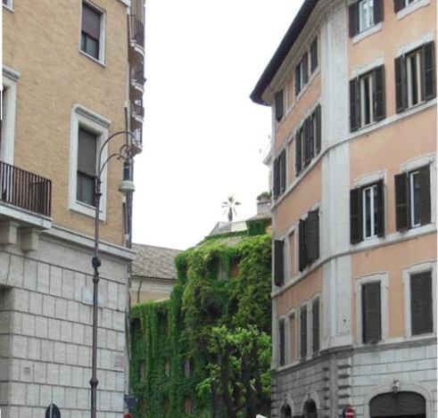 Il Nido Apartment In Piazza Navona