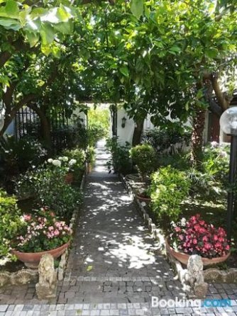 Residenza Caserta Sud - Bilocale con giardino