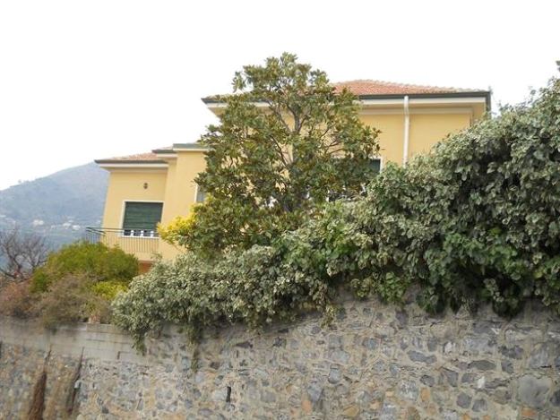 Villa La Goletta