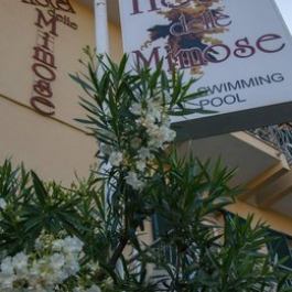 Hotel Delle Mimose