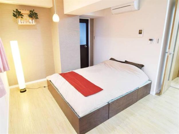 A1 2 Bedroom Apartment in Ginza Area 501