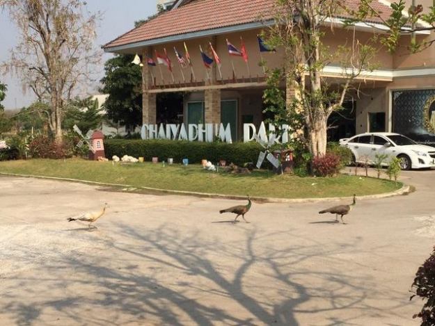 Chaiyhaphum Park Center Hotel