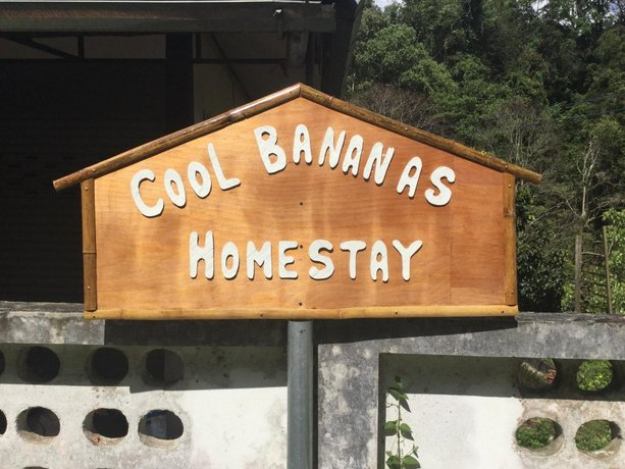 Cool Bananas Homestay
