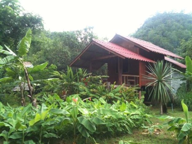 Homestay - A real taste of Northern Thailand