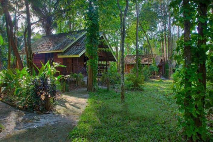 Khaosok Riverside Cottages