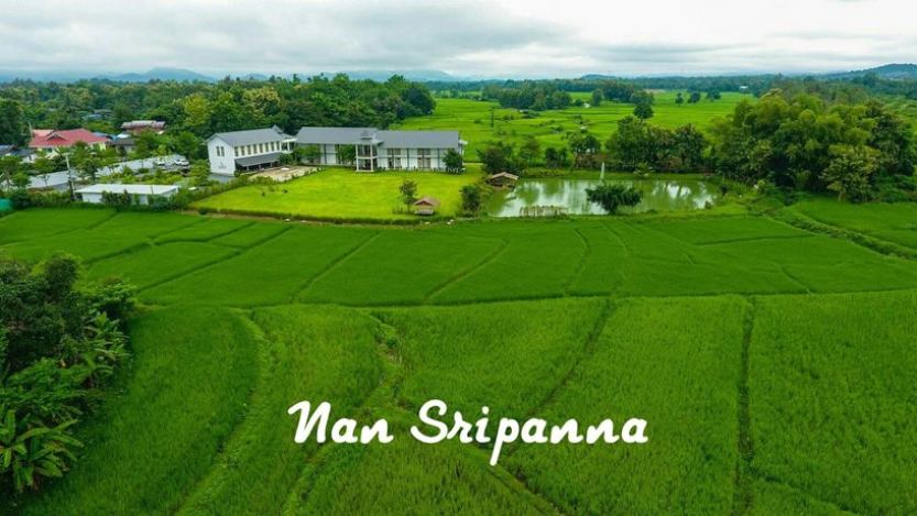 Nan Sripanna