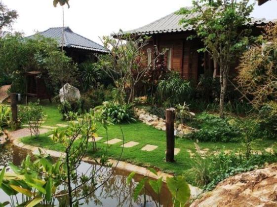 The Frog Khao Yai Resort