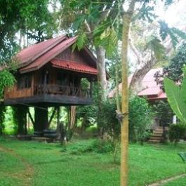 Bamboo House Khao Sok