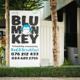 Blu Monkey Bed Breakfast