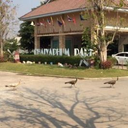 Chaiyhaphum Park Center Hotel