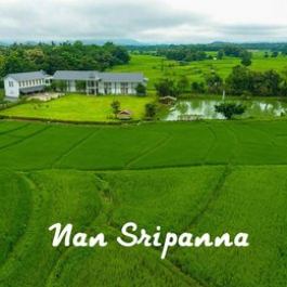 Nan Sripanna