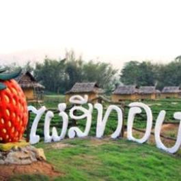 Pai See Tong Strawberry Farm Resort