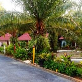 Phana Resort