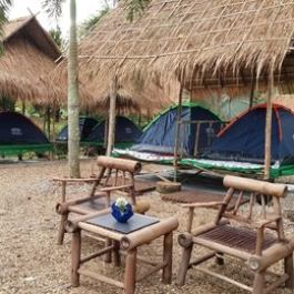 Tent Stay in Chiang Rai