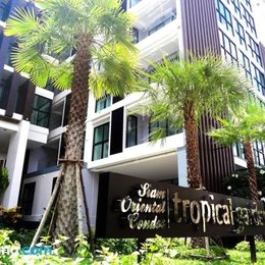 Tropical Garden Apartments Pattaya