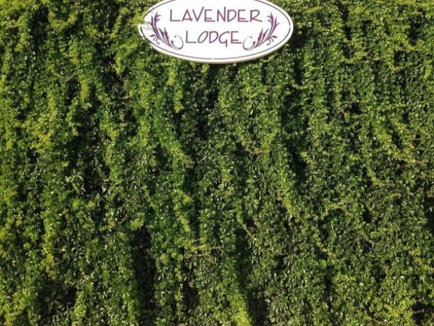 Lavender's Lodge Hotel