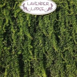 Lavenders Lodge Hotel