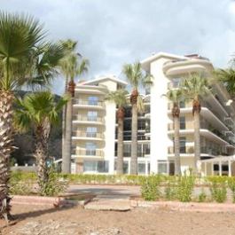 Sentido Sea Star Adult Only