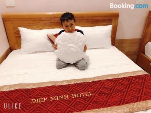 Diep Minh Hotel