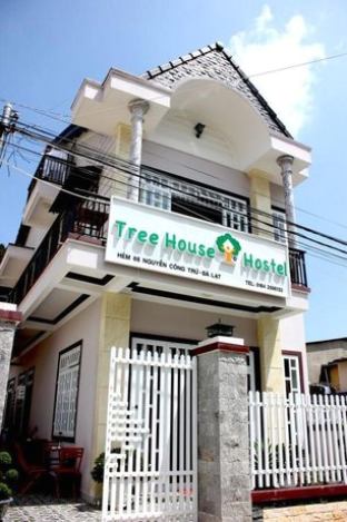 Tree House Hostel Da Lat