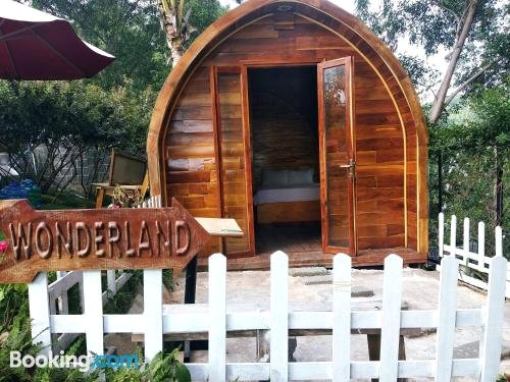 Wonderland Garden Hobbit house