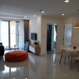 2br Apartment In Phu My Hung D7