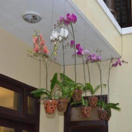 Orchids Homestay