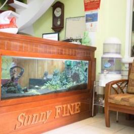 Sunny Fine Guesthouse