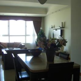 The nice apartment in central